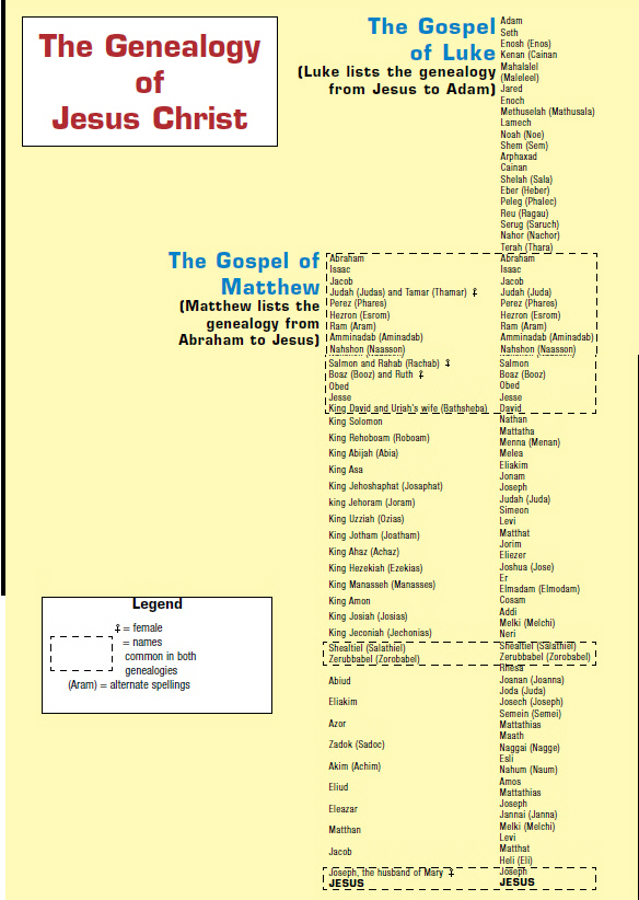 Jesus genealogy chart 6-28-11