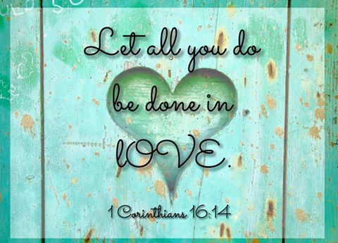 16473721_10154611202534678_4702202062804828508_n